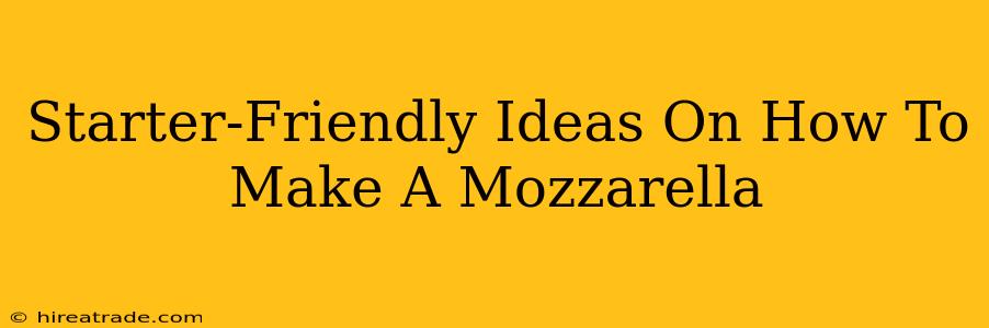 Starter-Friendly Ideas On How To Make A Mozzarella