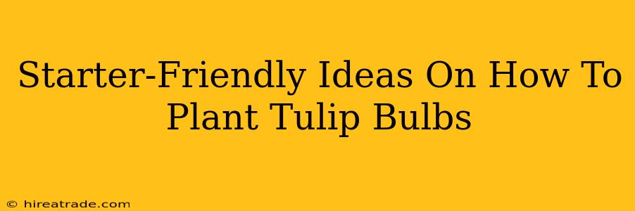 Starter-Friendly Ideas On How To Plant Tulip Bulbs