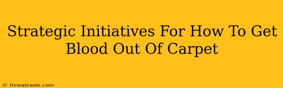 Strategic Initiatives For How To Get Blood Out Of Carpet