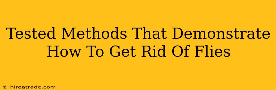 Tested Methods That Demonstrate How To Get Rid Of Flies