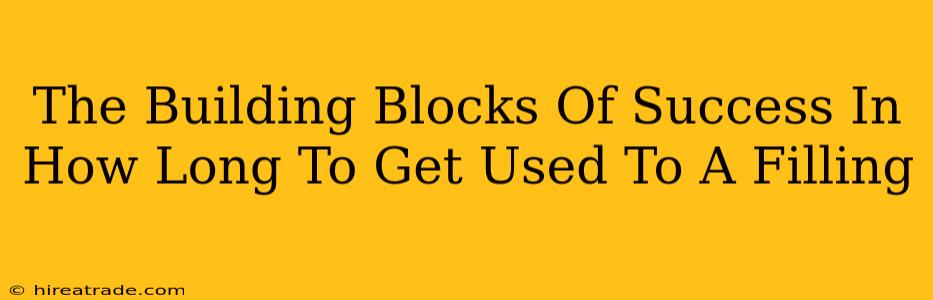 The Building Blocks Of Success In How Long To Get Used To A Filling