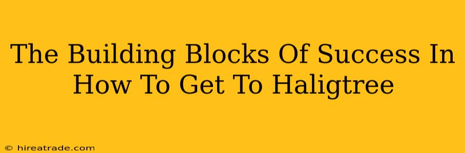 The Building Blocks Of Success In How To Get To Haligtree