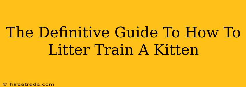 The Definitive Guide To How To Litter Train A Kitten