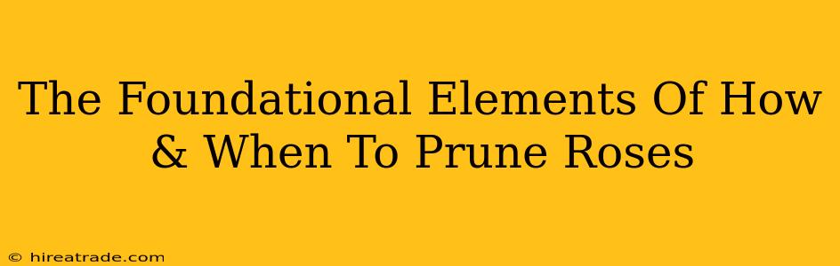 The Foundational Elements Of How & When To Prune Roses