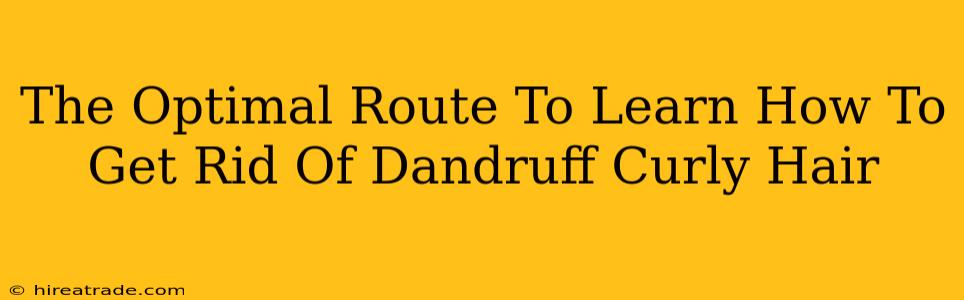 The Optimal Route To Learn How To Get Rid Of Dandruff Curly Hair