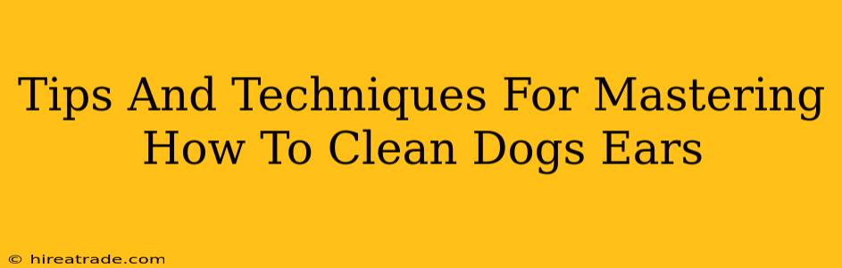 Tips And Techniques For Mastering How To Clean Dogs Ears