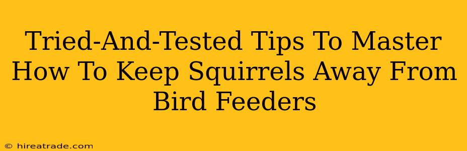 Tried-And-Tested Tips To Master How To Keep Squirrels Away From Bird Feeders