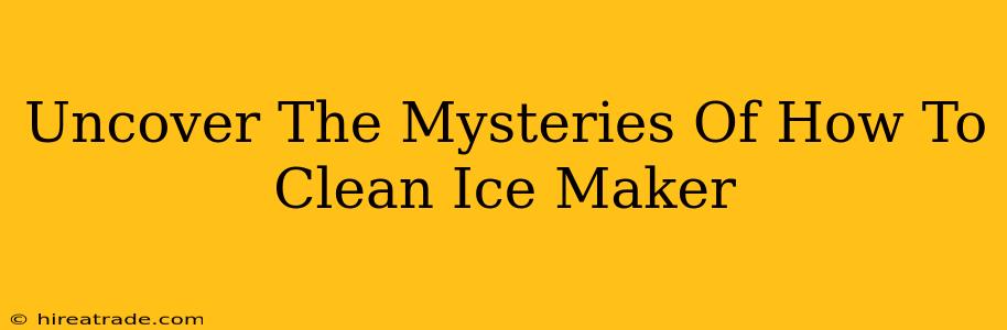 Uncover The Mysteries Of How To Clean Ice Maker