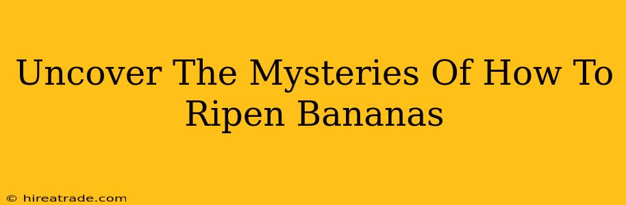 Uncover The Mysteries Of How To Ripen Bananas