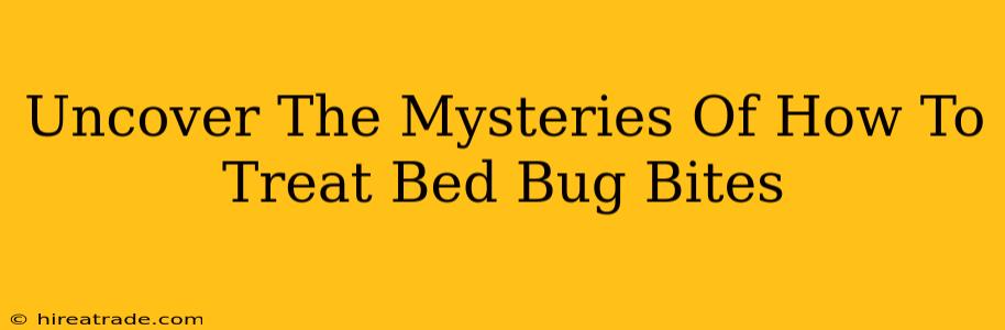 Uncover The Mysteries Of How To Treat Bed Bug Bites