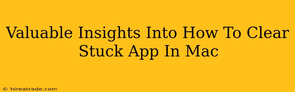 Valuable Insights Into How To Clear Stuck App In Mac