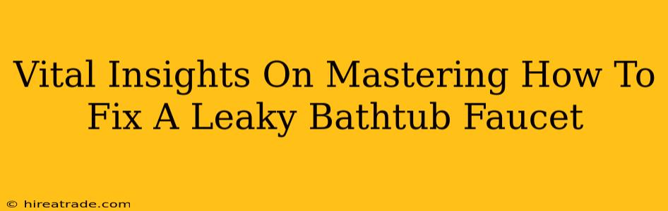 Vital Insights On Mastering How To Fix A Leaky Bathtub Faucet