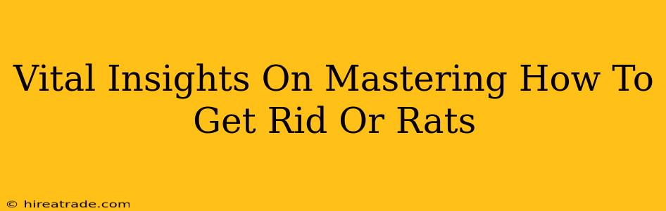 Vital Insights On Mastering How To Get Rid Or Rats