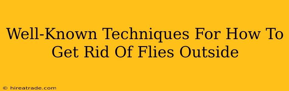 Well-Known Techniques For How To Get Rid Of Flies Outside