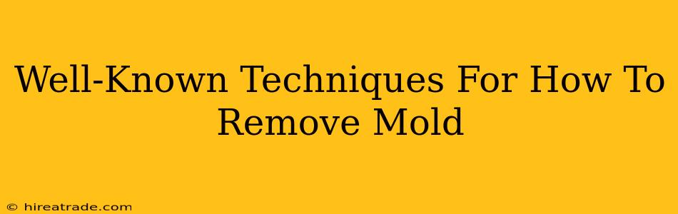 Well-Known Techniques For How To Remove Mold